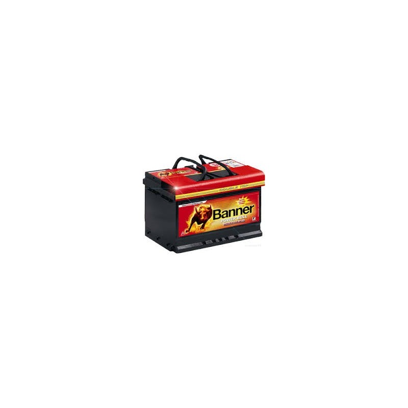 Batterie Banner PowerBull P7209 12 V 72Ah 660 EN - ProBatteries